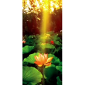 花274