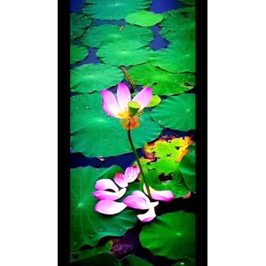 花347