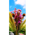 花355
