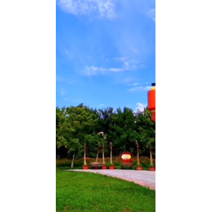 花357
