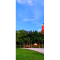 花357