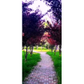 花399