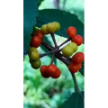 花413
