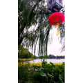 花482