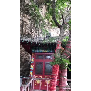 花571