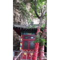 花571