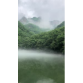 花587