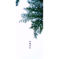 花617