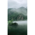 花625