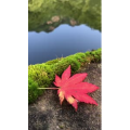花627