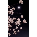 花717