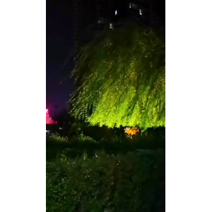 花469