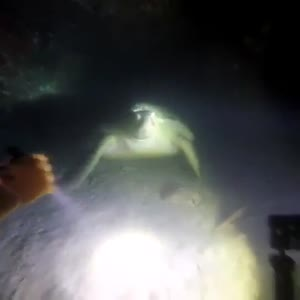马来西亚9