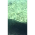 马来西亚32