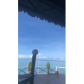 马来西亚33