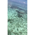 马来西亚47