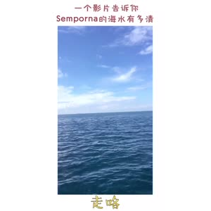 马来西亚81