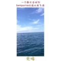马来西亚81