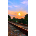 夕阳2