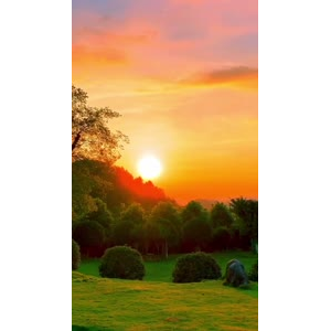夕阳4