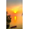 夕阳7
