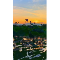 夕阳8