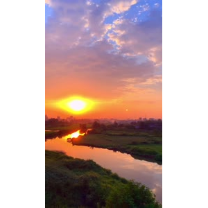 夕阳9