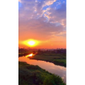 夕阳9