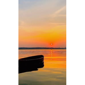 夕阳11