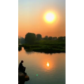 夕阳14