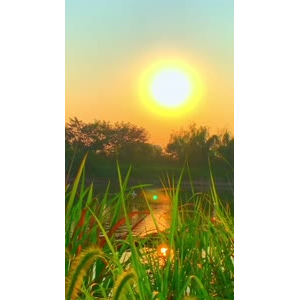 夕阳21