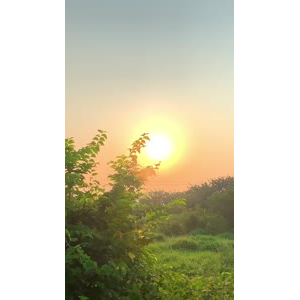 夕阳24