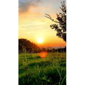 夕阳30