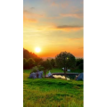夕阳38