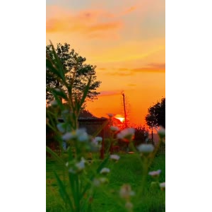 夕阳39