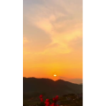 夕阳40