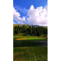 边疆132
