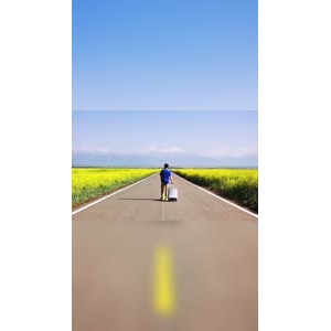 边疆186