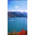 边疆219