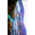 边疆229