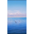 边疆238