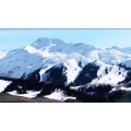 边疆266