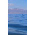边疆275