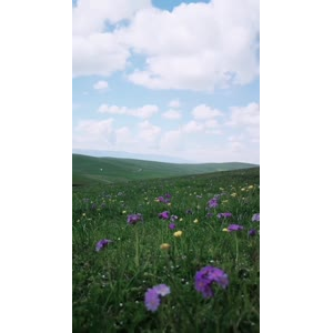 边疆284
