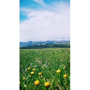 边疆286