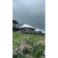 草原135