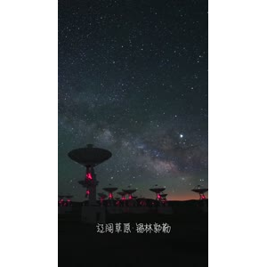 草原297