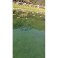 泸沽湖畔9