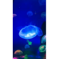 泸沽湖畔22
