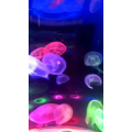 泸沽湖畔33